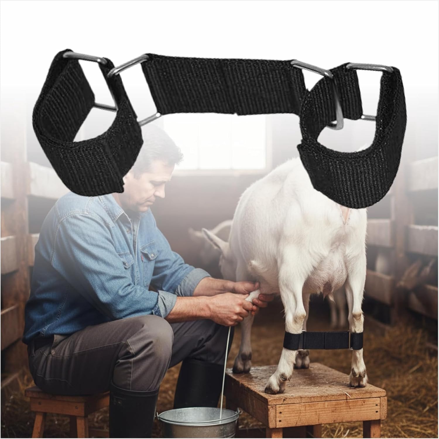 Verstelbare geitenbeenbeveiligingsriem voor melkstandaard, duurzame nylon band met metalen gesp, anti-schop bevestigingsgereedschap voor boerderijdieren en melkveehouderij