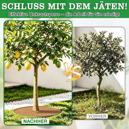 Kokosmatten voor planten, winterbescherming, 4 stuks, 60 cm — afbeelding 3