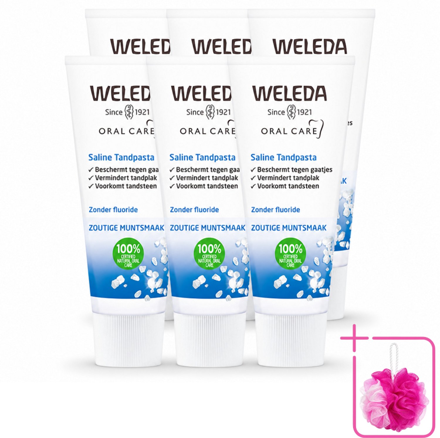 6 x WELEDA - Tandpasta Saline - 75ml - Bulkverpakking - Tandpasta - Douchemop - Zeezout