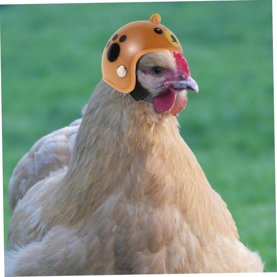 4 Stuks Hens Hoedjes Veiligheidshelmen Kippen Verstelbare Dierenaccessoires Kleine Huisdieren Bescherming tegen Geschikt Papegaaien Vogels Assortiment Kleuren — afbeelding 2