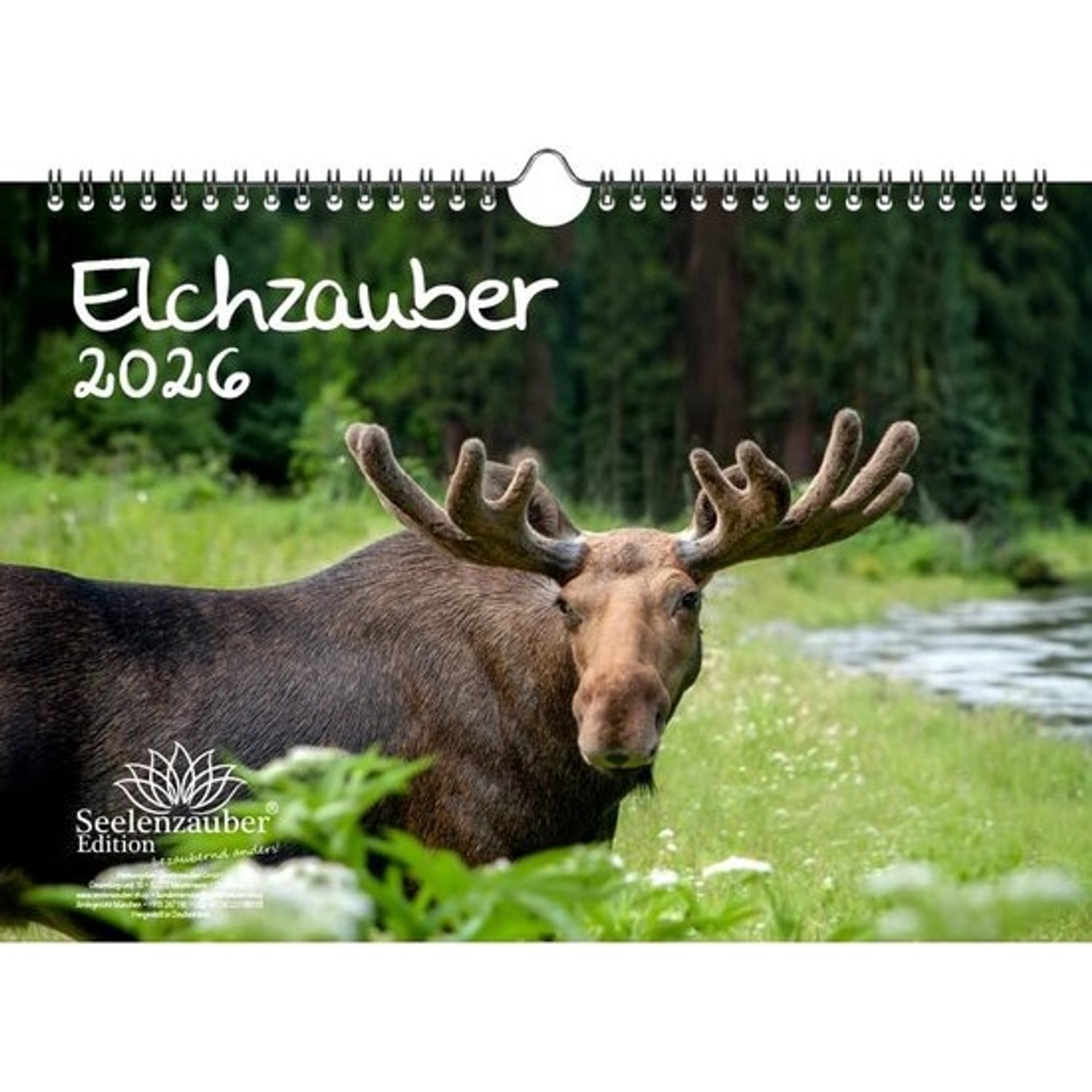 Fotokalender A4 met 12 verschillende hertenmotieven 2026