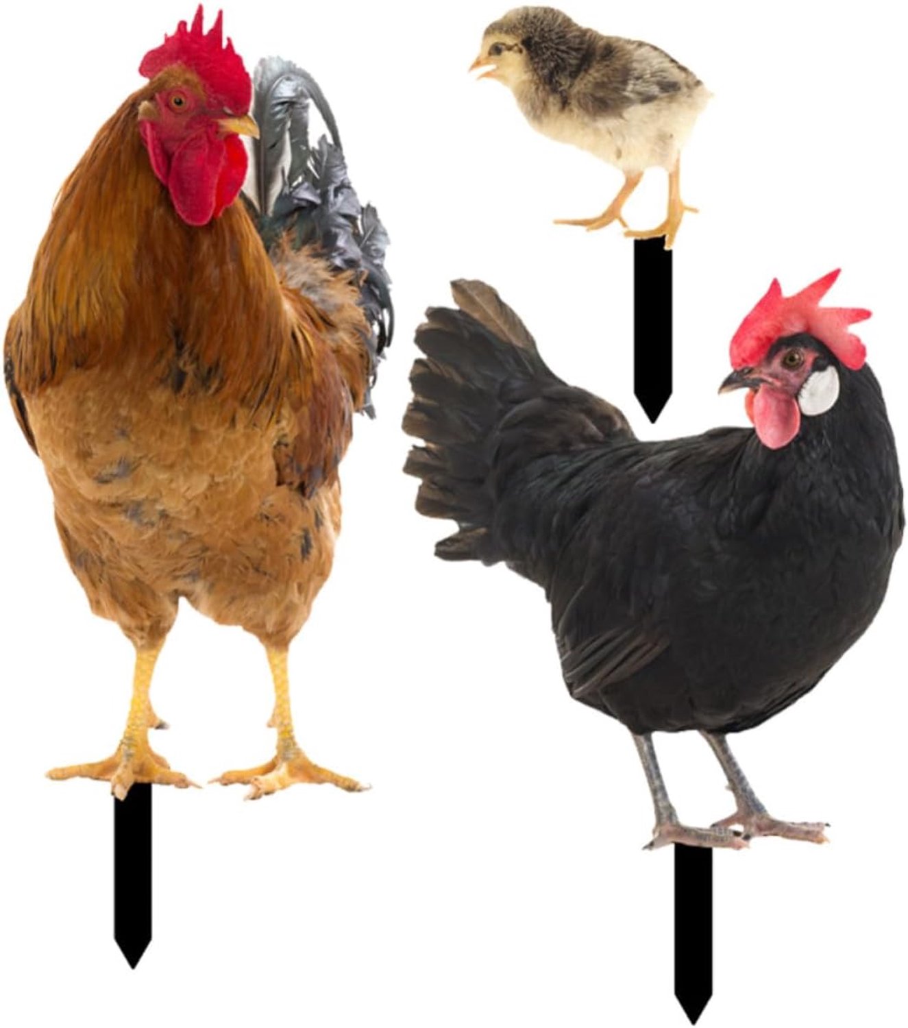 Realistische Tuinkip Tuinbord met Hen Kuiken Vormen Decoratieve Gazonstekers voor Buitengebruik Levendige Tuinversiering