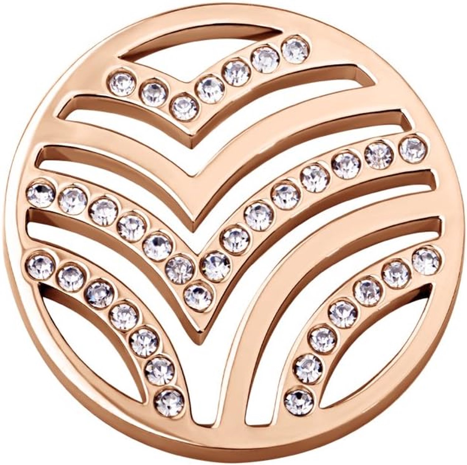 Quiges Verwisselbare 33mm Munt van RVS Vogel Patroon met Zirkonia in verschillende kleuren voor Munthangers