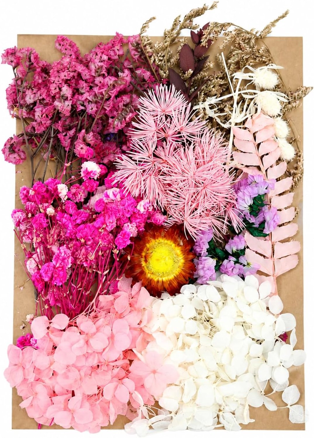 1 verpakking decoratieve gedroogde bloemen, natuurlijk voor epoxyhars, scrapbooking, sieraden maken en kaarsen om zelf - ShopVlot