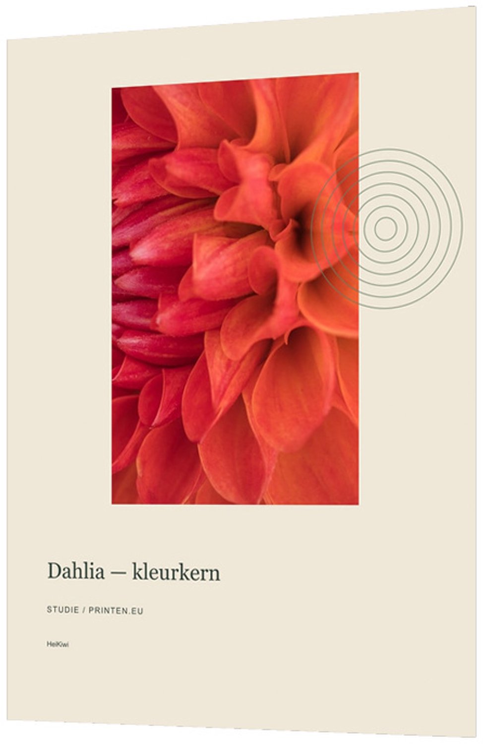 Printen.eu Poster - Dahlia — kleurkern - 23.7 x 33.1 cm Multicolor
