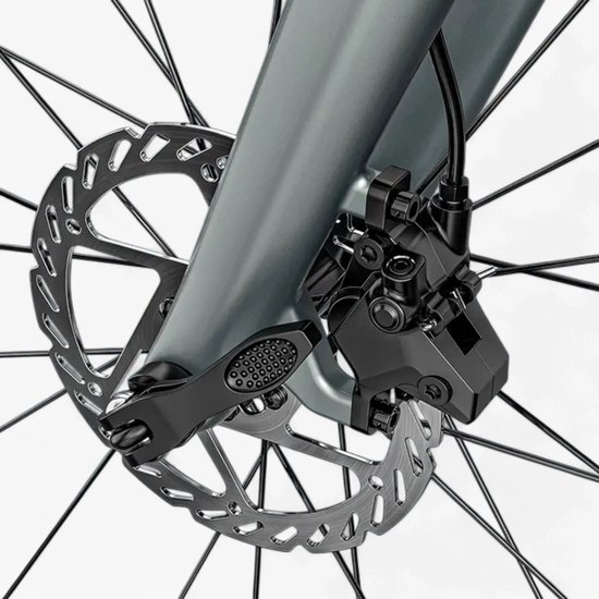 Fiido Air - Elektrische Fiets - Zilver - L — afbeelding 4