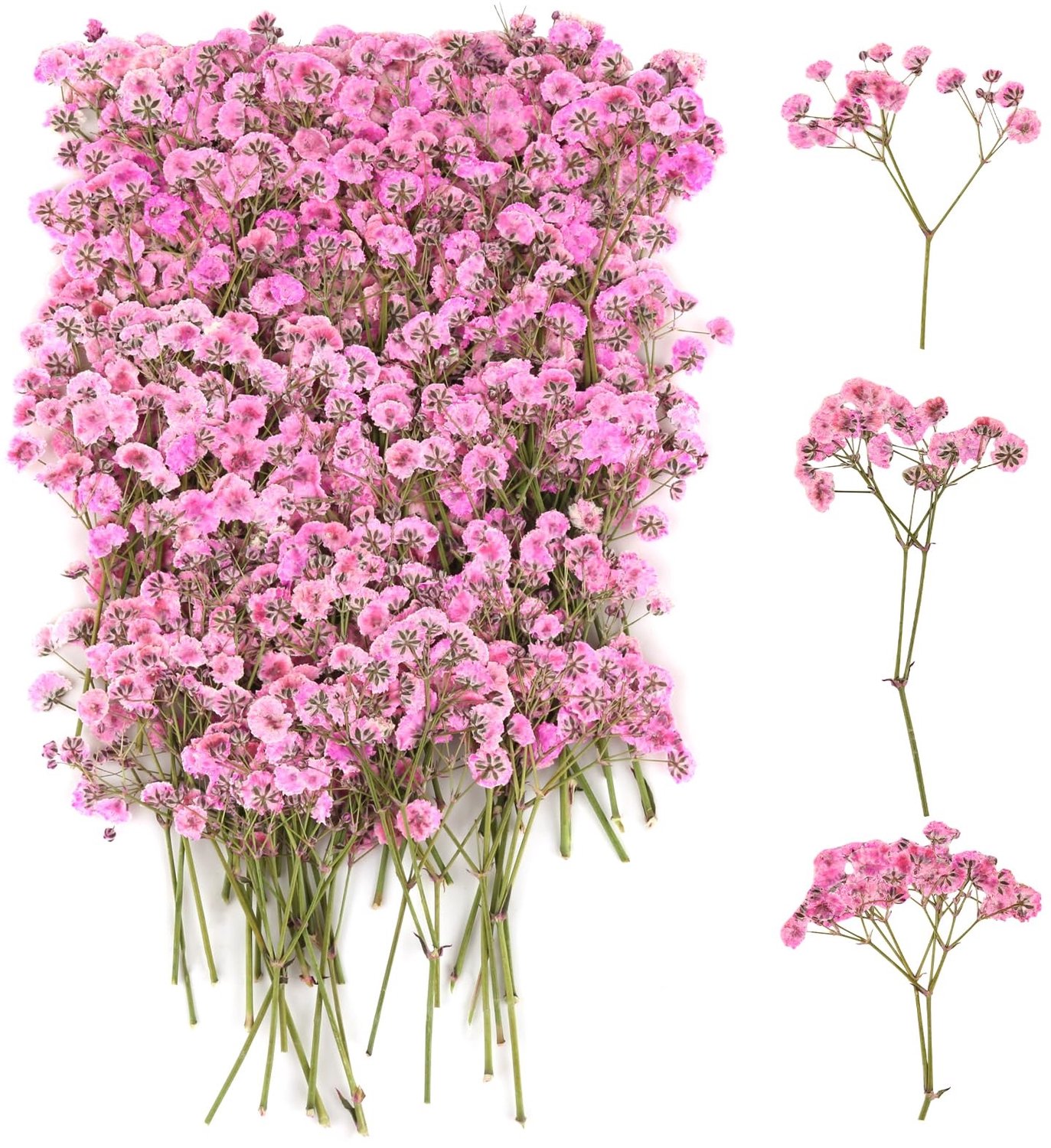 Famanu Geperste gedroogde sluierkruid bloemen set met 100 stuks voor DIY en kaarten