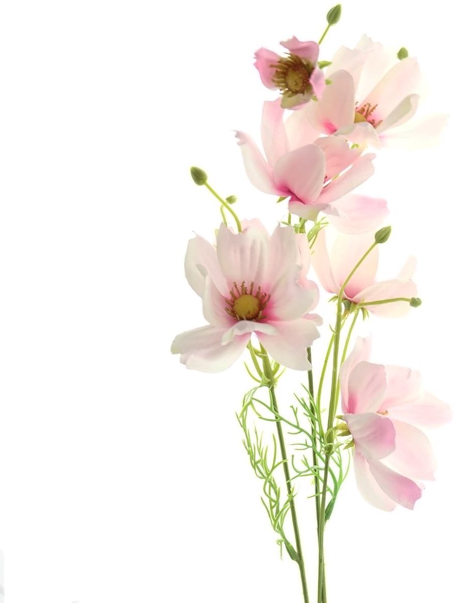 Deko Florale Sperling Deko Florale Cosmea stengel Roze met roze hart 58 cm