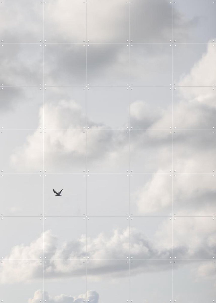 IXXI Free as a Bird 2, Mareike Böhmer - 100 x 140 cm - Gratis ophangtool - Grote wanddecoratie en posters - Fotografie, Grafisch Ontwerp, Minimalisme