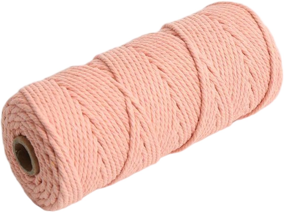 Macramétouw 3 mm x 100 m, natuurlijk katoenen draad voor wanddecoratie, plantenhangers, boho-decoratie,Huidpoeder