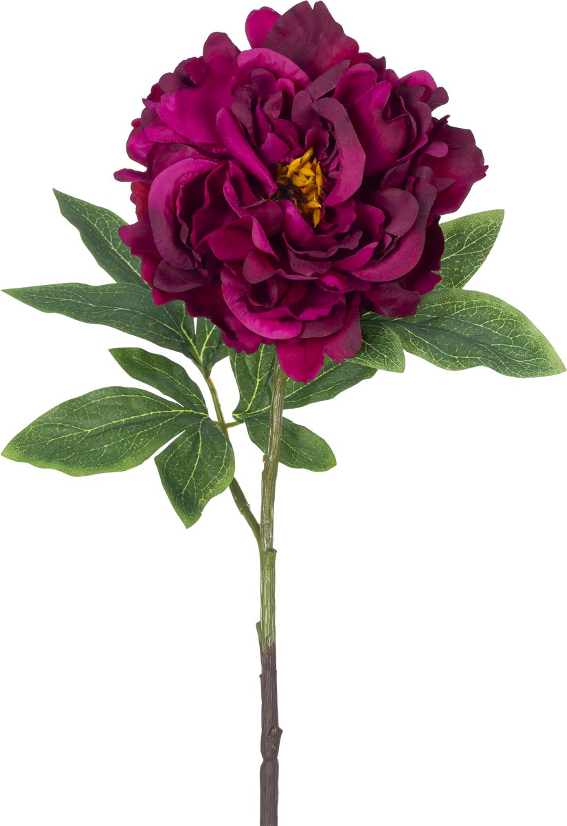 Easyplants | Kunstbloem Pioen 61 cm paars | Zijde | Nepbloemen | paars | Onderhoudsvrij | Kant-en-klaar