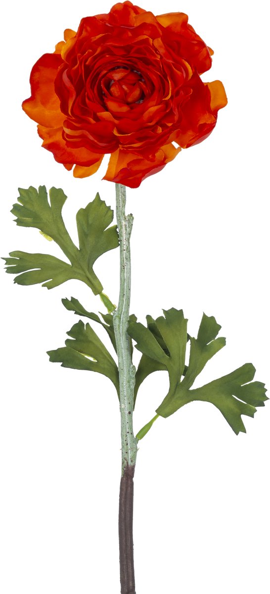 Easyplants | Kunstbloem Ranunculus 51 cm donker oranje | Zijde | Nepbloemen | oranje | Onderhoudsvrij | Kant-en-klaar
