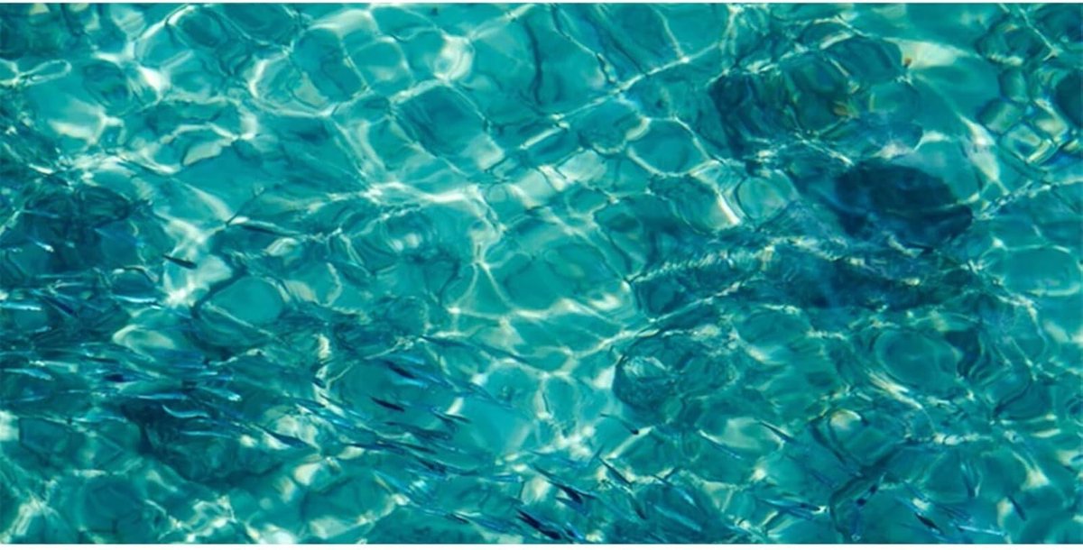 Aquariumachtergrond 61 x 30 cm - blauw onderwaterthema - duurzaam vinyl - ideaal voor natuurlijke uitstraling - ShopVlot