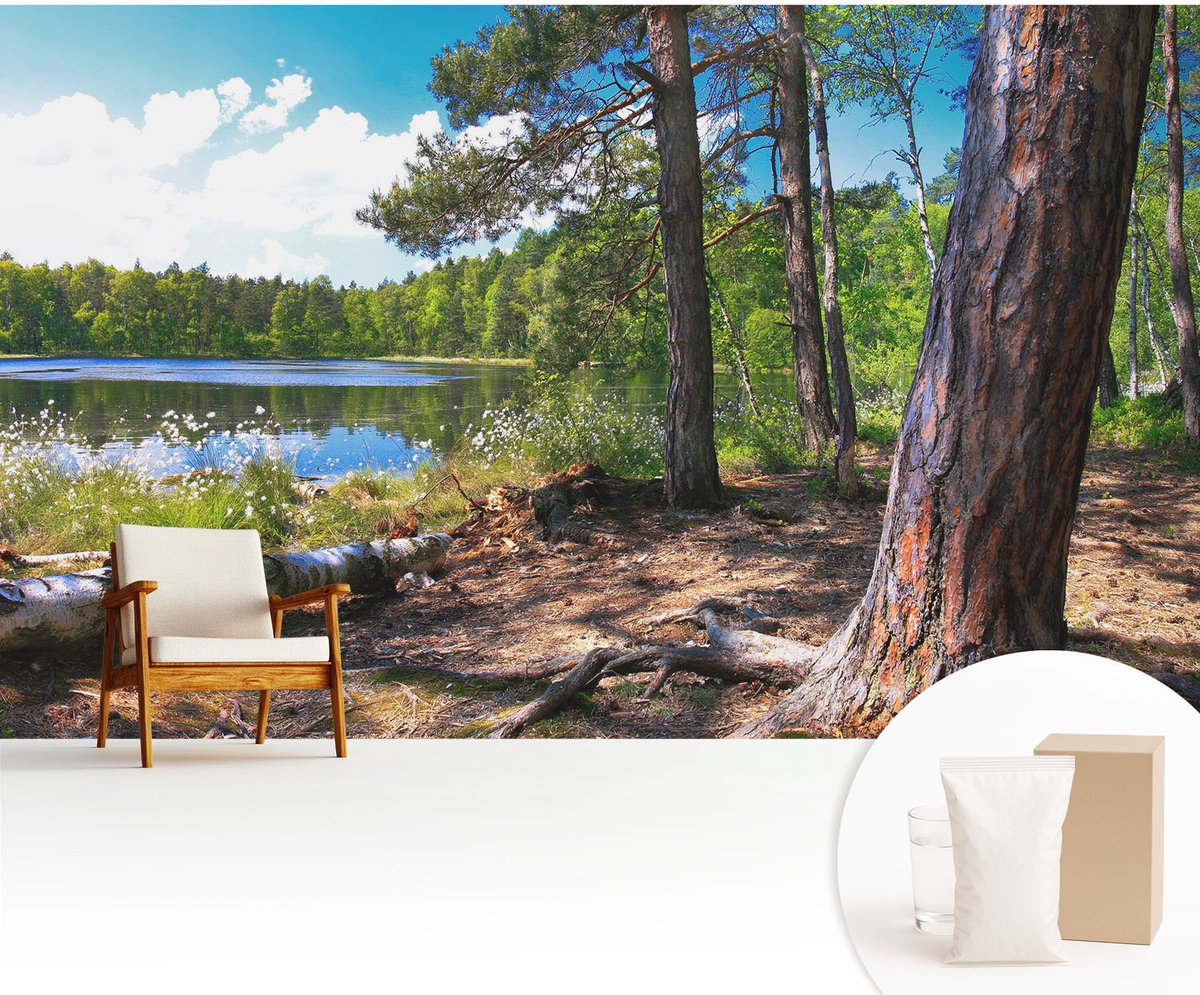 Wallfluent Fotobehang - Groente Vliesbehang - 416x254 cm - Boslandschap Fotobehang Vlies - Woonkamer behang Landschappen - Muurschildering - Hal behang