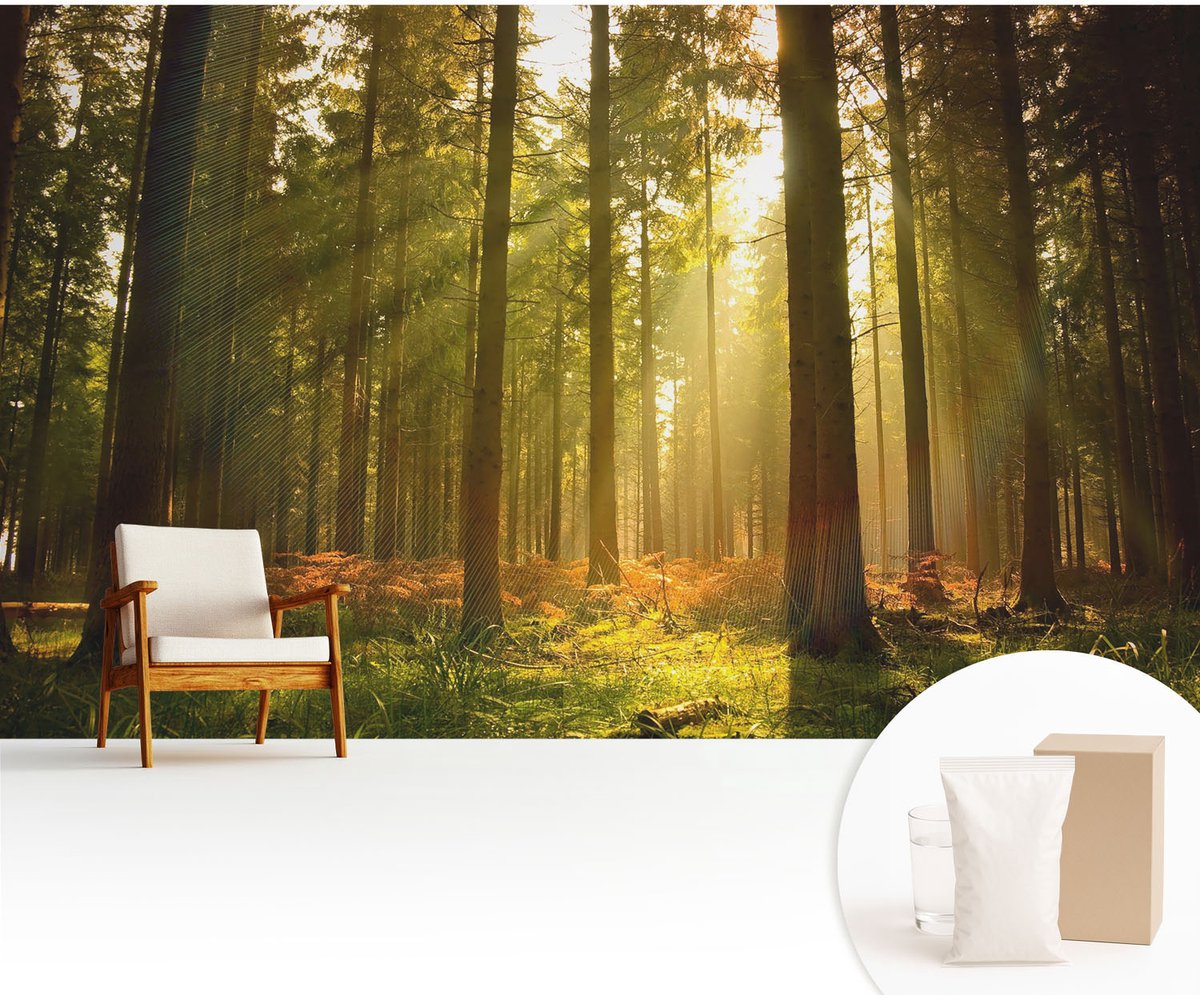 Wallfluent Fotobehang - Groente Vliesbehang - 416x254 cm - Bosochtend Fotobehang Vlies - Woonkamer behang Landschappen - Muurschildering - Woonkamer behang