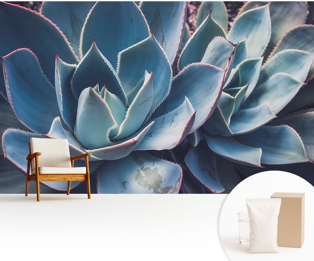 Wallfluent Fotobehang - Blauw Vliesbehang - 416x254 cm - Groene Aloë Muurschildering - Gang behang Bloemen En Planten - Fotobehang Vlies - Slaapkamer behang
