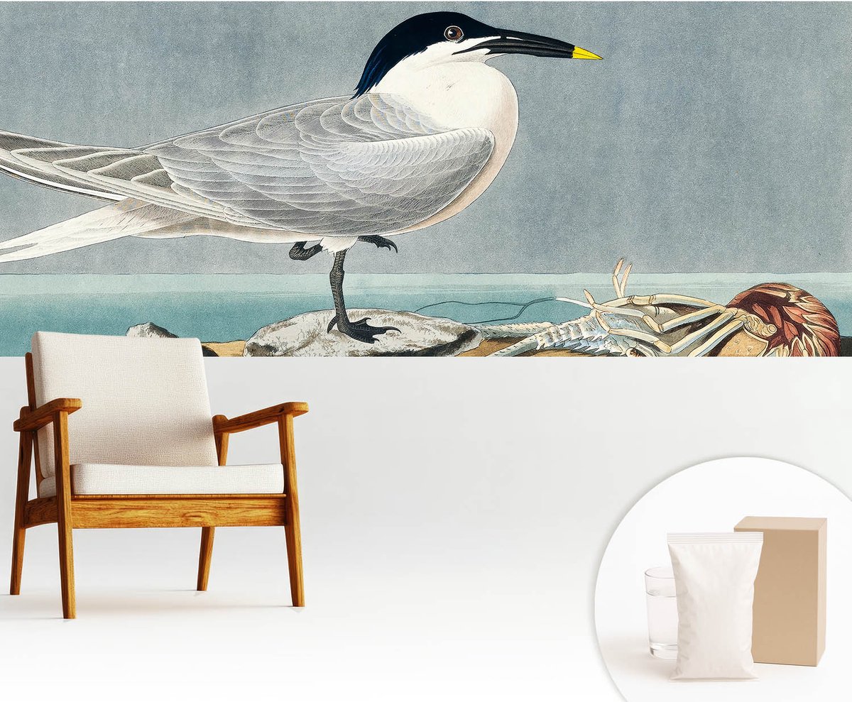 Wallfluent Fotobehang - Grijs Vliesbehang - 250x104 cm - Ornithologische Elegantie Muurschildering - Slaapkamer behang Dieren - Fotobehang Vlies - Slaapkamer behang