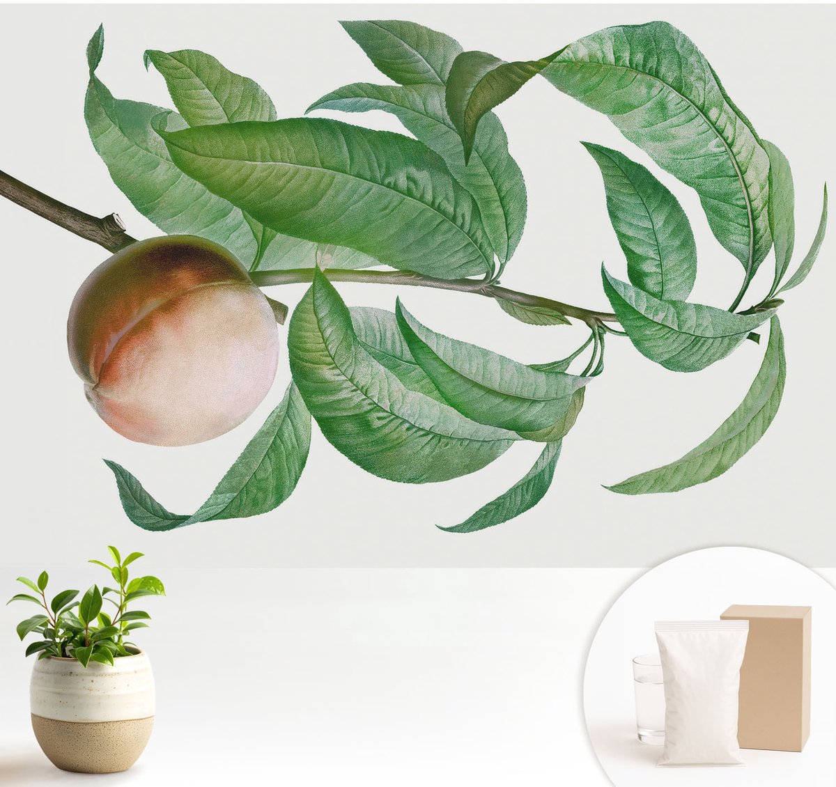 Wallfluent Fotobehang - Groente Vliesbehang - 104x70 cm - Rijpe Perzik Muurschildering - Gang behang Bloemen En Planten - Fotobehang Vlies - Slaapkamer behang