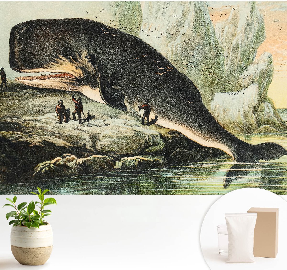 Wallfluent Fotobehang - Zwart Vliesbehang - 104x70 cm - Zeegigantisme Muurschildering - Slaapkamer behang Dieren - Fotobehang Vlies - Gang behang