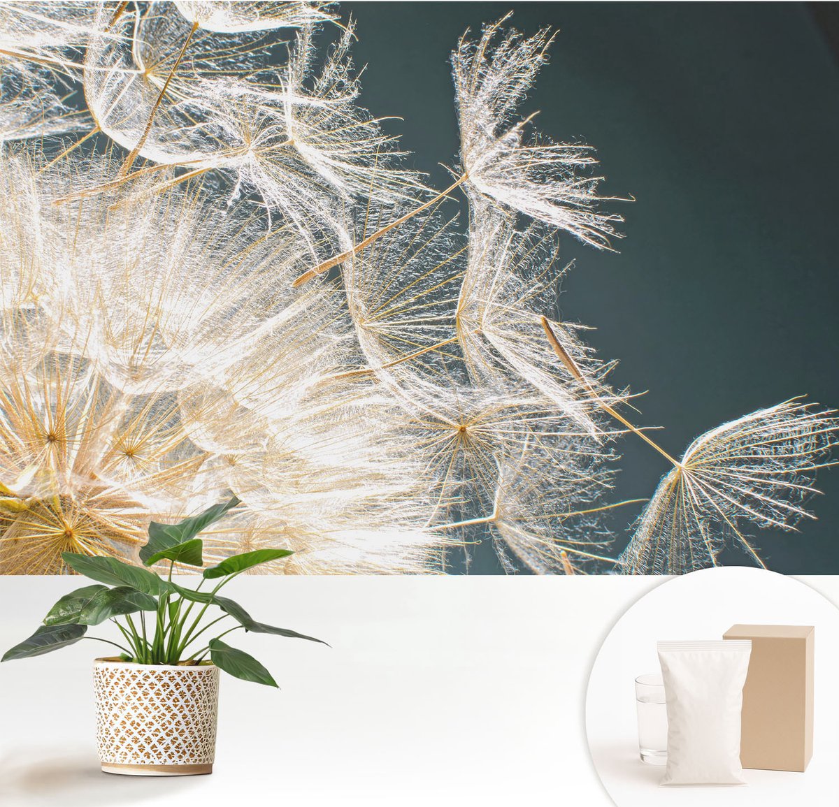 Wallfluent Fotobehang - Wit Vliesbehang - 152x104 cm - Paardenbloem Van Lichtheid Muurschildering - Slaapkamer behang Bloemen En Planten - Fotobehang Vlies - Slaapkamer behang