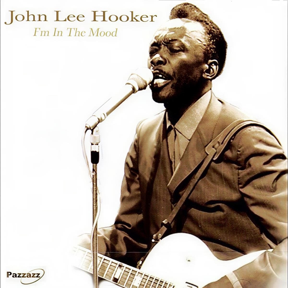 John Lee Hooker - I'm In The Mood (CD)