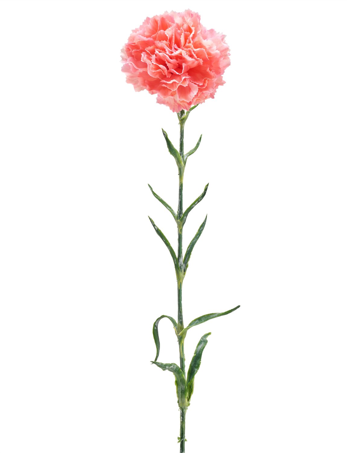 Easyplants | Kunstbloem Carnation 68 cm zalm roze | Zijde | Nepbloemen | roze | Onderhoudsvrij | Kant-en-klaar