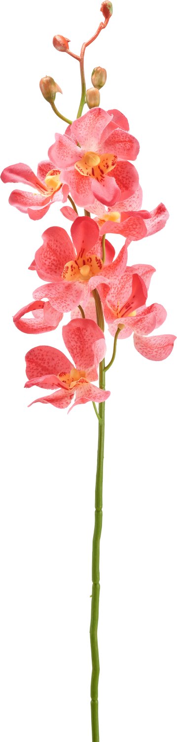 Easyplants | Kunstbloem Orchidee 55 cm roze | Zijde | Nepbloemen | roze | Onderhoudsvrij | Kant-en-klaar