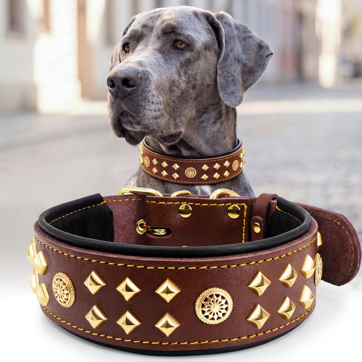 Hondentuig van leer, 5,6 cm breed