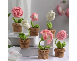 Ysister Haakset voor beginners 6-delig haakgaren set Haak-starterset voor bloem DIY haak brei set met stap-voor-stap-instructies en video-tutorials, Flower