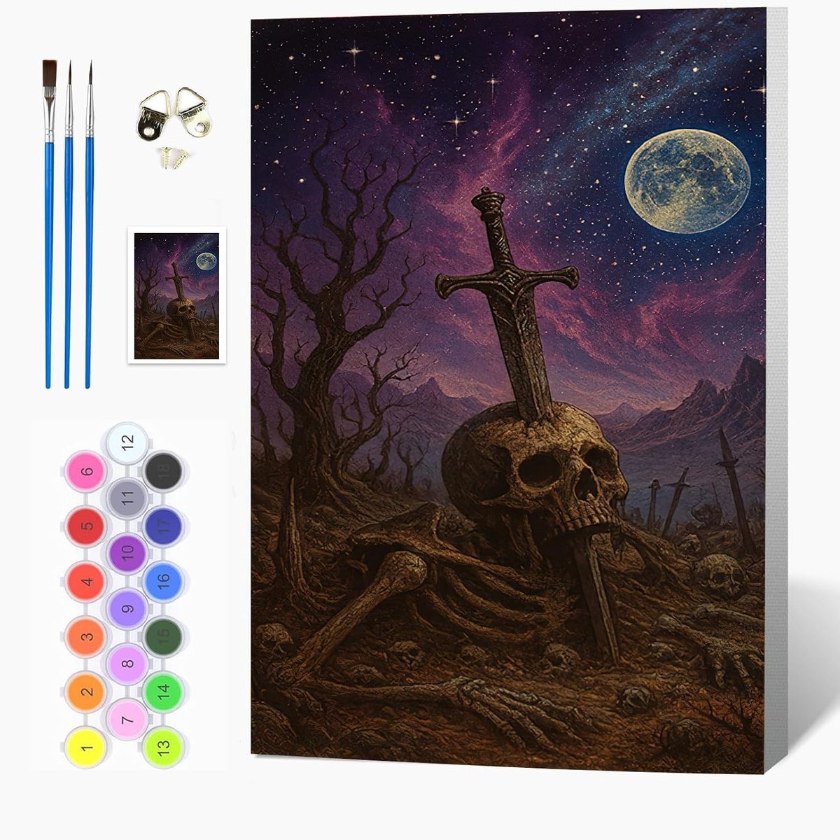Auremi Schedel schilderen op nummer set met houten frame - horror schilderen op nummer 20 x 30 cm voor volwassenen - ShopVlot