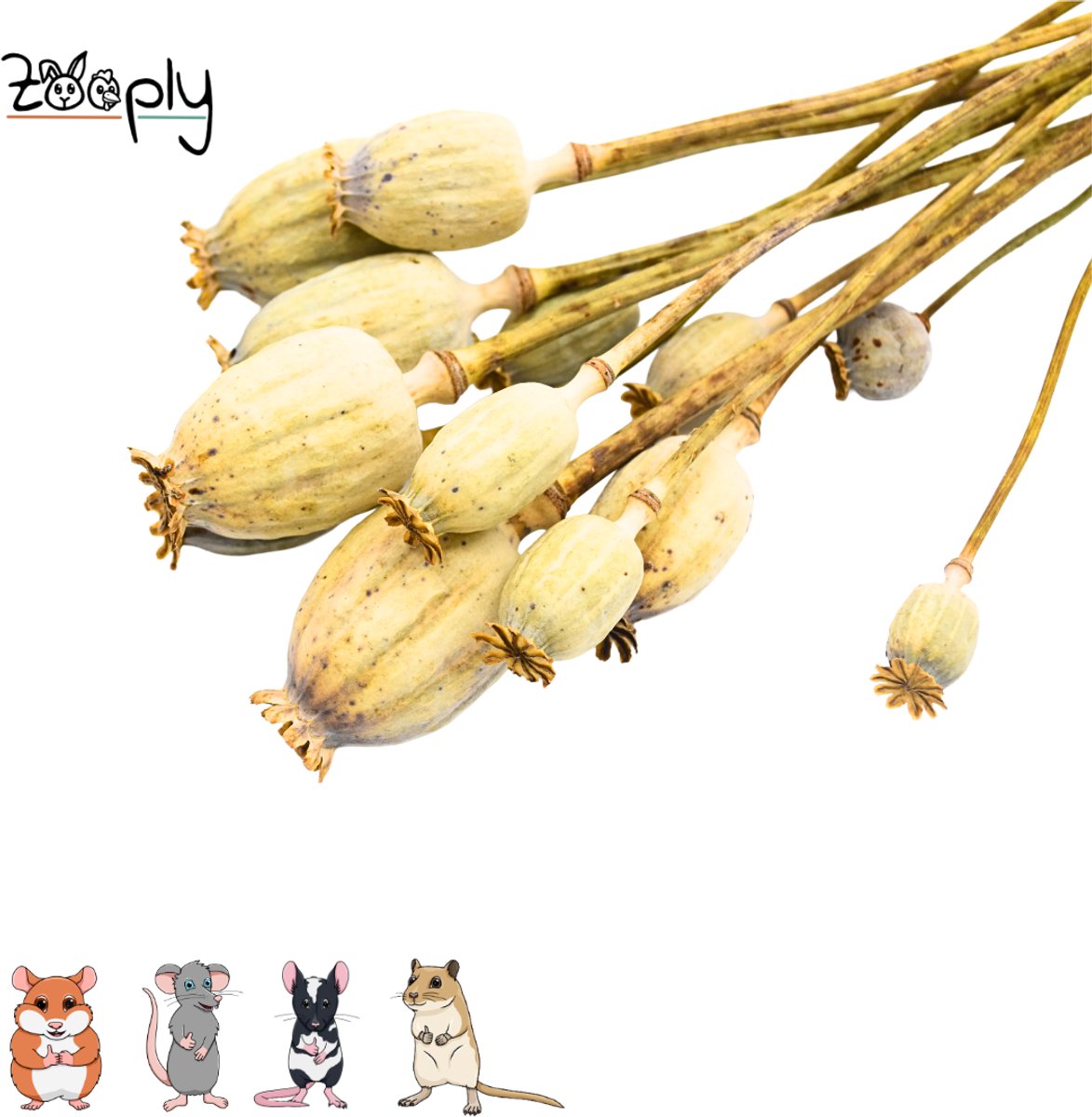 Zooply Klaproos - 70 gram - in koker