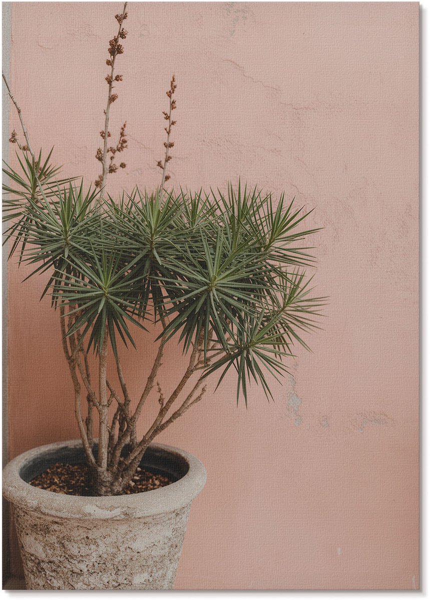 Tulup Polycanvas Poster - Potplant, Fotografie - A4 - Groen Wanddecoratie - Rechthoek - Kunstposter - Woonkamer, Slaapkamer, Kantoor - Rustiek
