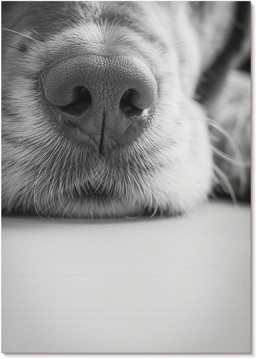 Tulup Canvas Poster Polycanvas - Berglandschap, Bruin - A4 - Zwart-wit Poster - Rechthoek - Decoratieve poster - Kantoor - Modern