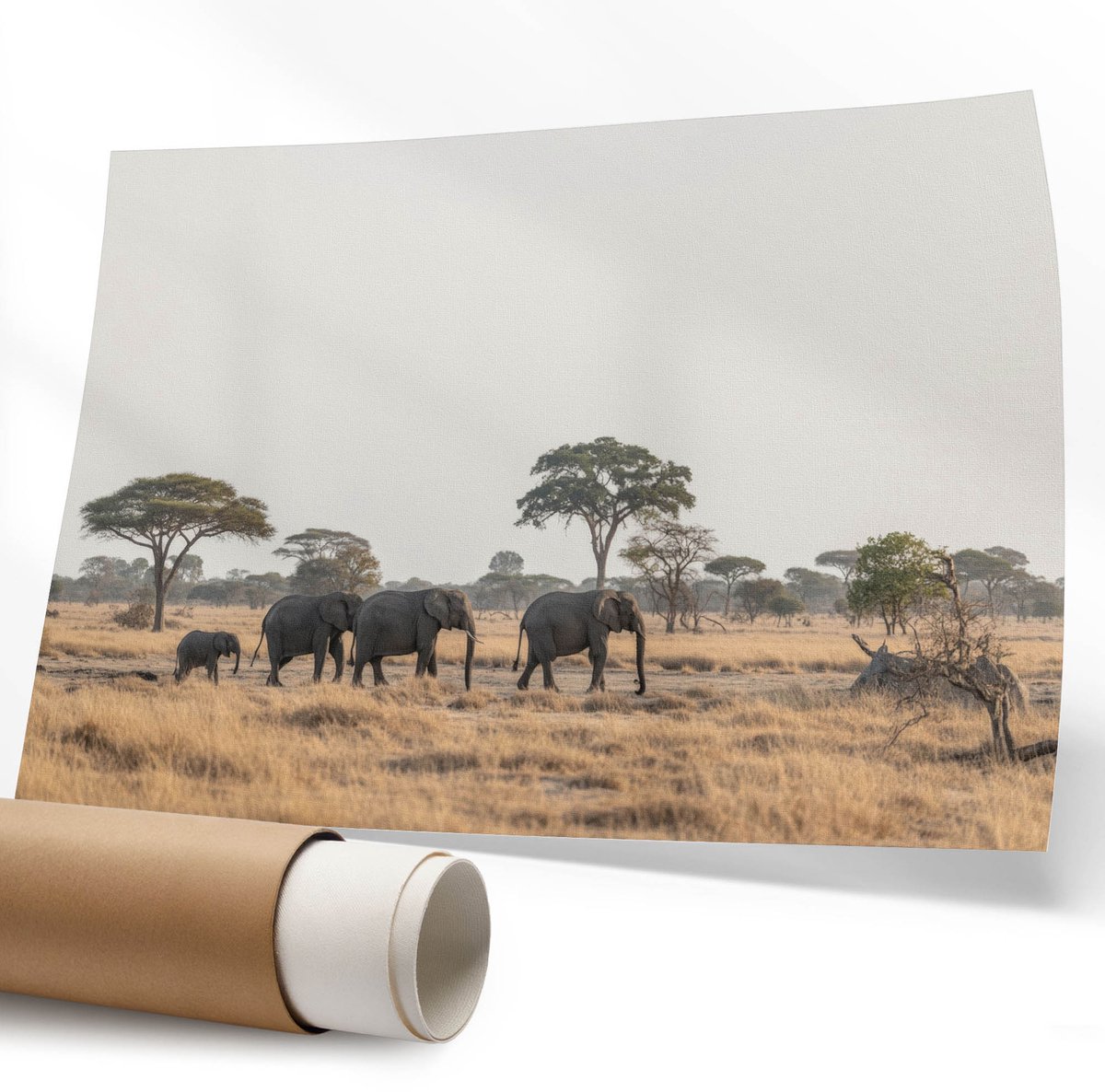 Coloray Polycanvas Wandposter - Een Krachtig Citaat., Typografie - 594 x 840 mm - Wit Design - Rechthoek - Canvasposter - Woonkamer - Minimalist