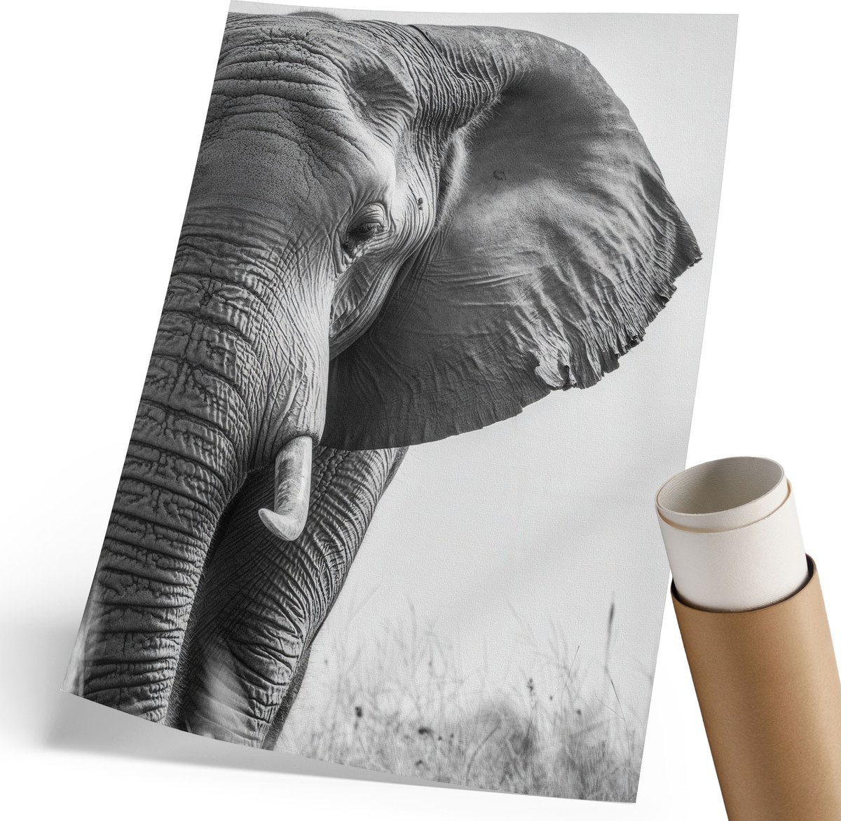 Coloray Polycanvas Wandposter - Olifantenkop, Fotografie - 210 x 297 mm - Zwart-wit Patroon - Rechthoek - Wandkunstwerk - Woonkamer, Slaapkamer, Kantoor - Klassiek