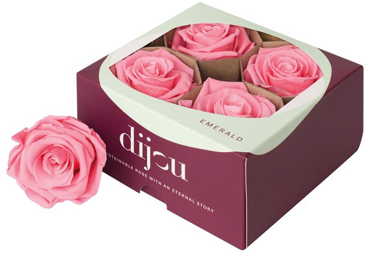 4x Dc pres.rozen light pink 1765c