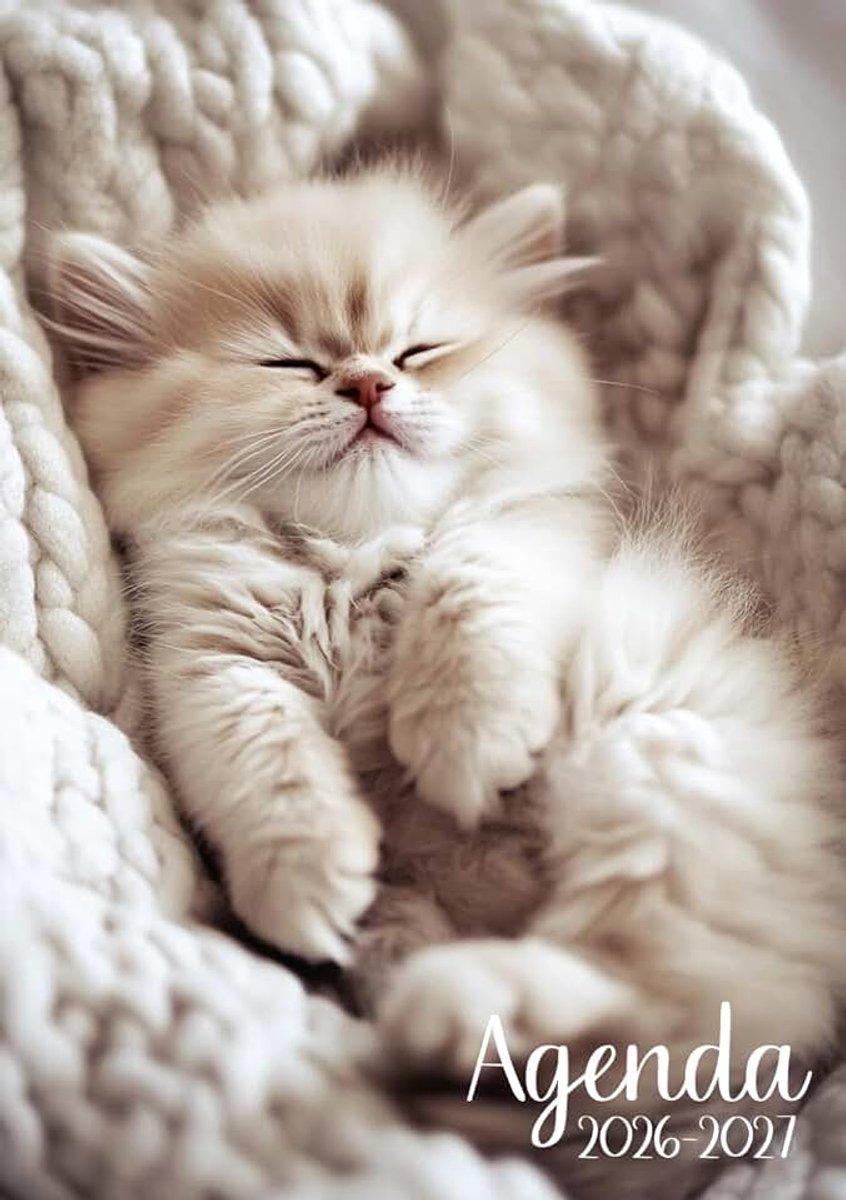 Agenda Scolaire 2026-2027: Chat | Journalier (une page par jour) | 12x17 cm | Format standard | Sept 2026 – juil 2027 | Primaire & collège | Fille | ... & animaux | Chaton mignon & kawaii