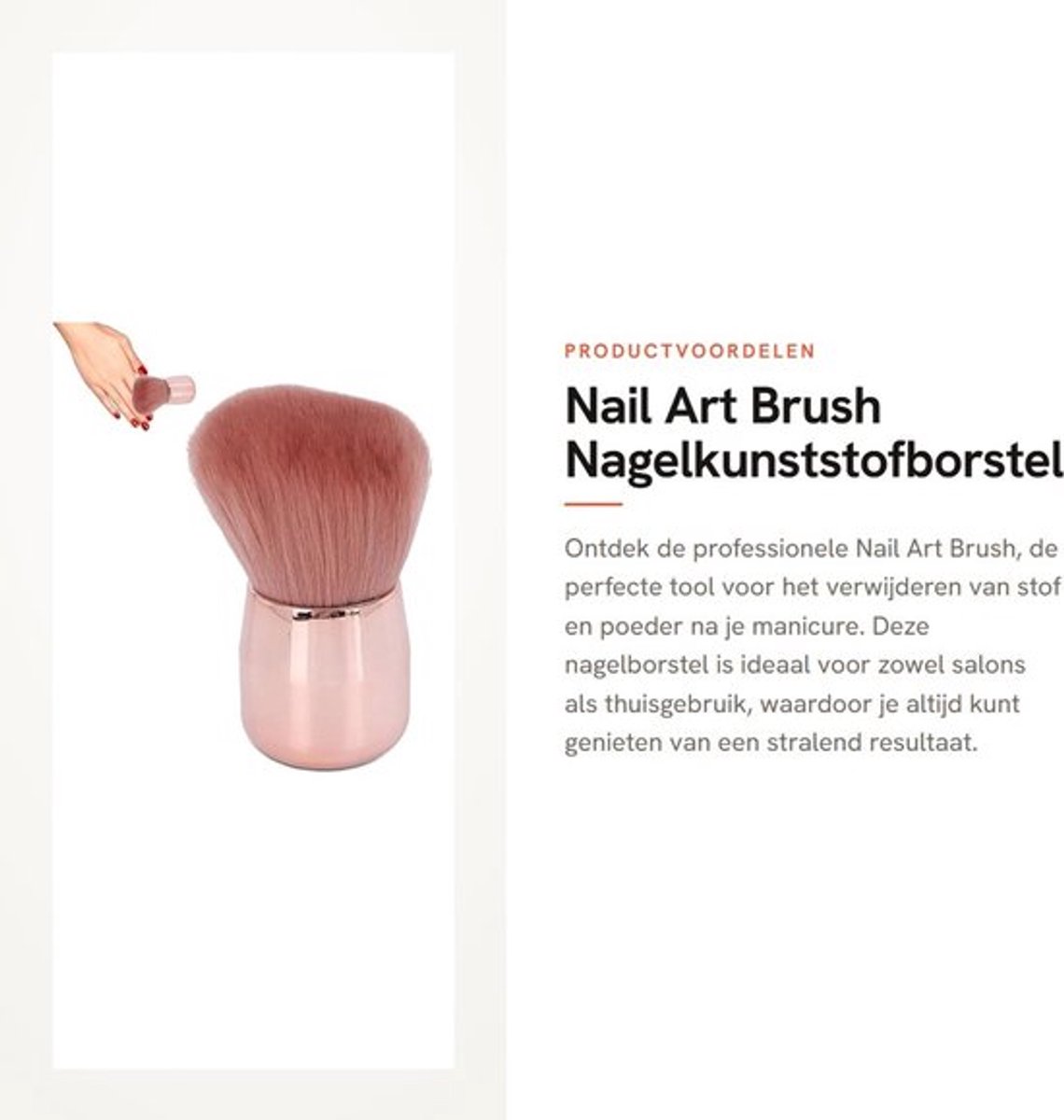 Dailygoods- Nagelborstel Professioneel - Nagelkunststofborstel - Make-up Tool
