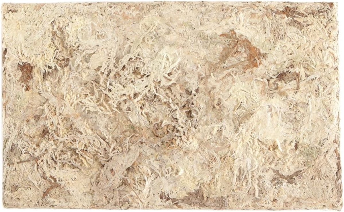 Natuurlijke Sphagnum Mos voor Orchideeën, Antlers, Zaailingen en Snijplanten - Ideaal voor Terrariums, Tuin en Plantenverzorging - 200 g