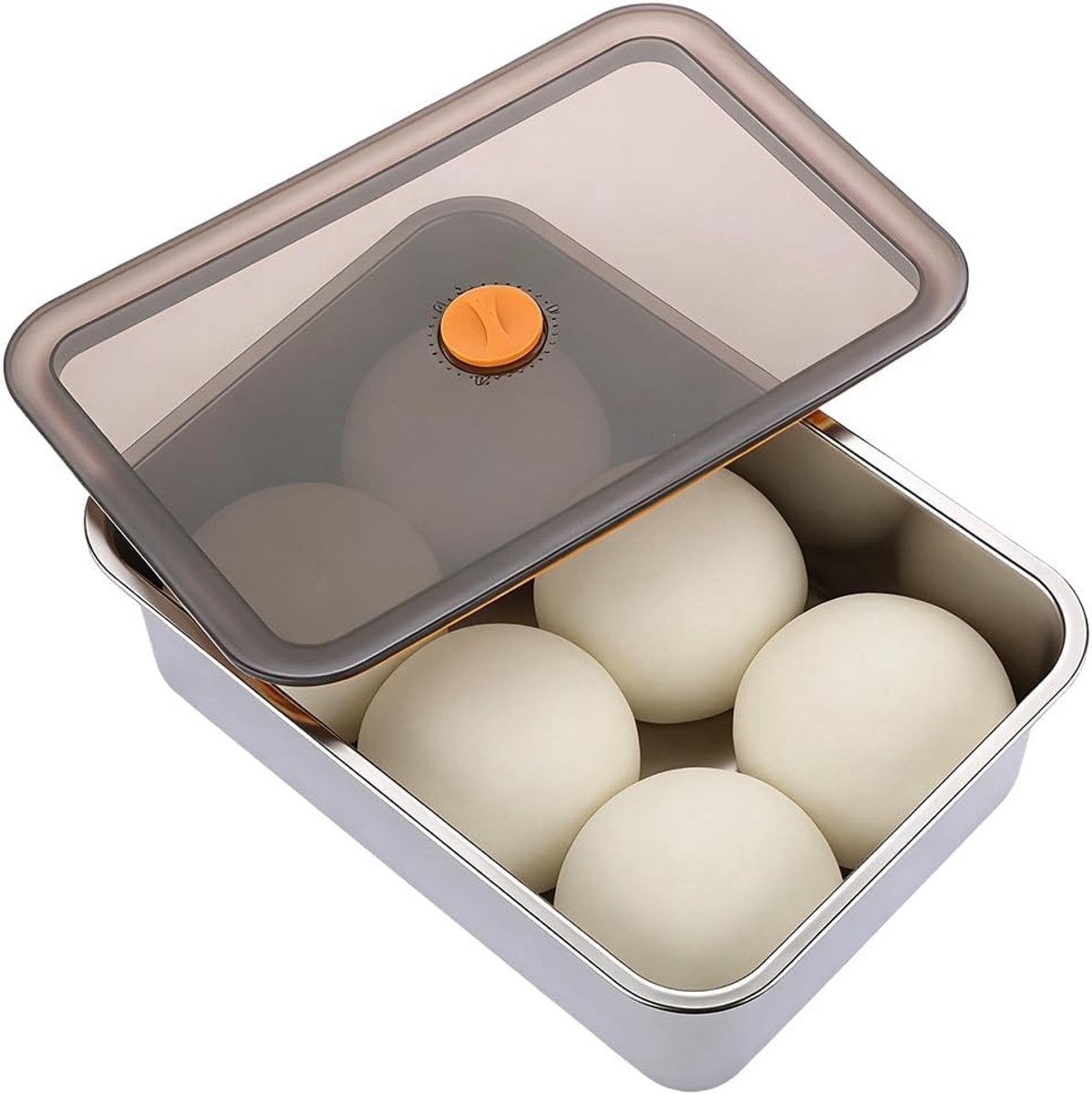RVS Fermentatiebox met Deksel voor Pizza- en Brooddeeg, Ideaal voor Fruit en Salades (30 x 21 x 8.5 cm)