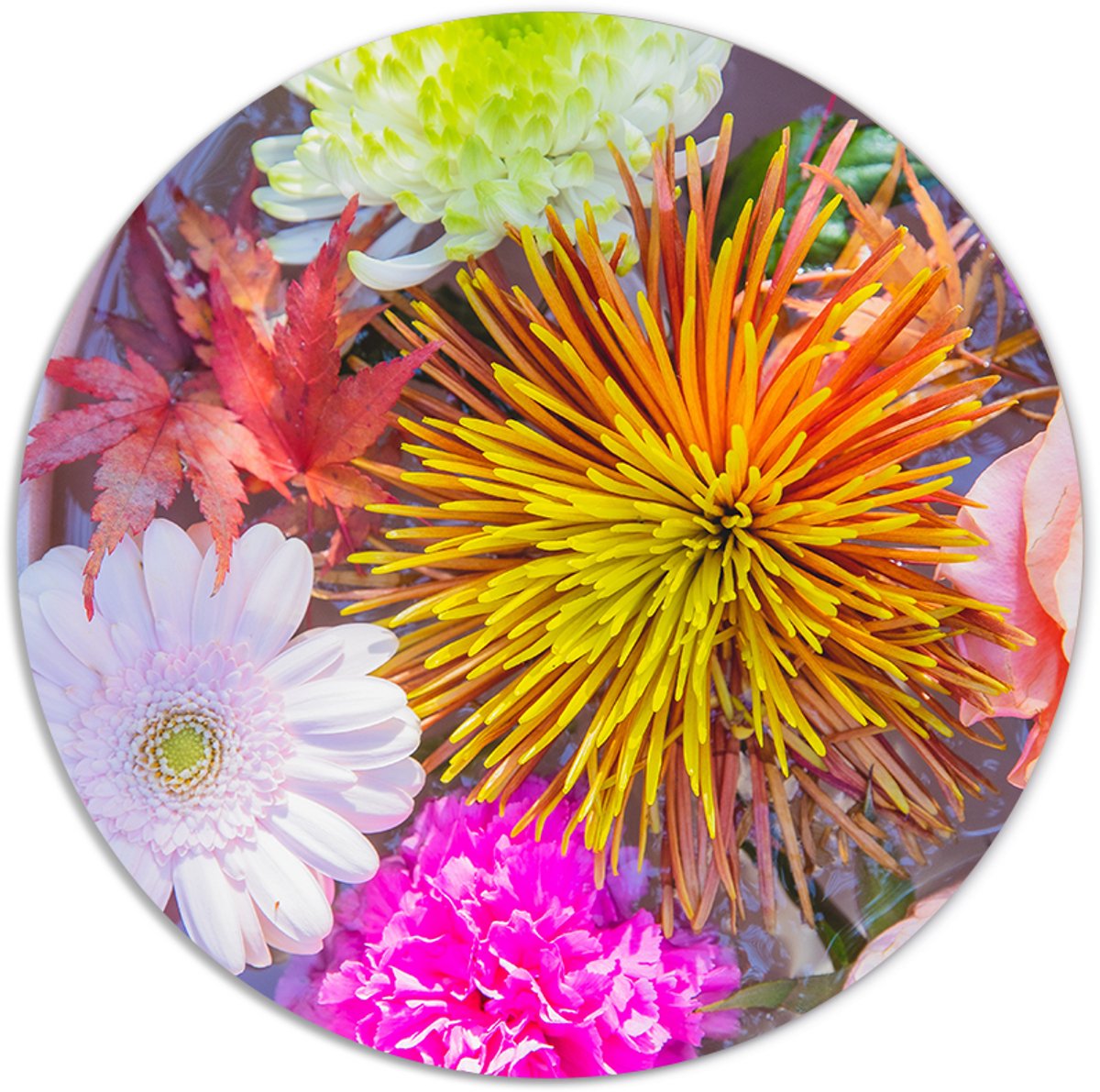 Label2X - Muurcirkel - Pretty - Ø 50 cm - Forex - Multicolor - Wandcirkel - Rond Schilderij - Bloemen en Planten - Muurdecoratie Cirkel - Wandecoratie rond - Decoratie voor woonkamer of slaapkamer