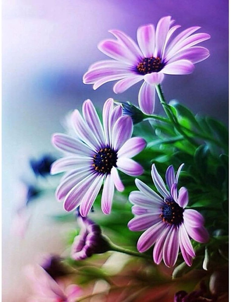 5D DIY Diamond schilderij volledige vierkante bloem Daisy Diamond borduurwerk decoratie Home Art Kit Holiday Gift frameloze 30X40cm