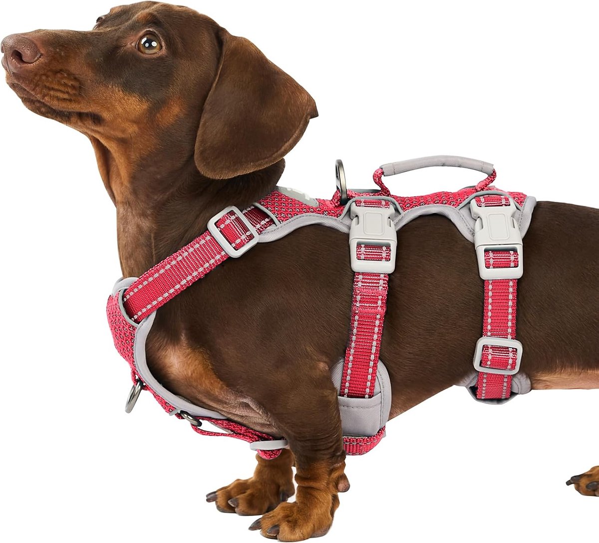 No Escape Dog Harness, Ontsnappingskunstenaarsharnas, Volledig Reflecterend Harnas met Gevoerde Handgreep, Ademend,Verstelbaar Vest voor Kleine Honden Wandelen, Hardloopuitrusting (Rood,S)