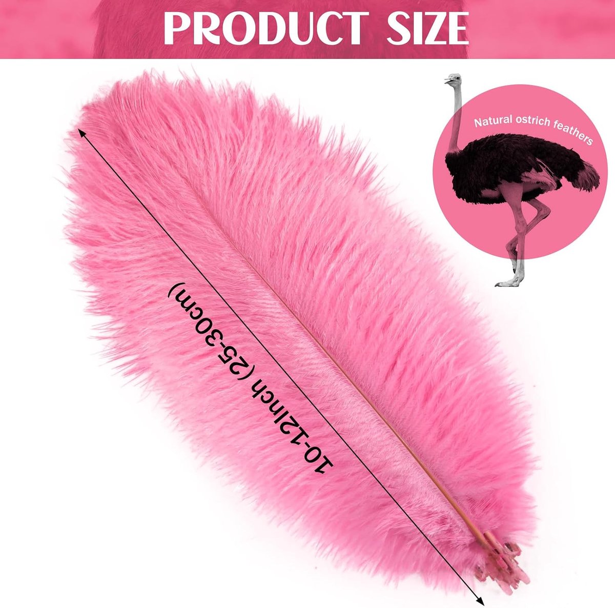 Veren 30 Stuks, 25‑30cm Natuurlijke Decoratieveren, Zwart Wit Rood Goud Roze Fuchsia voor Wonen, Bruiloften, Bloemstukken, Knutselen en Vasdecoratie (Fuchsia)