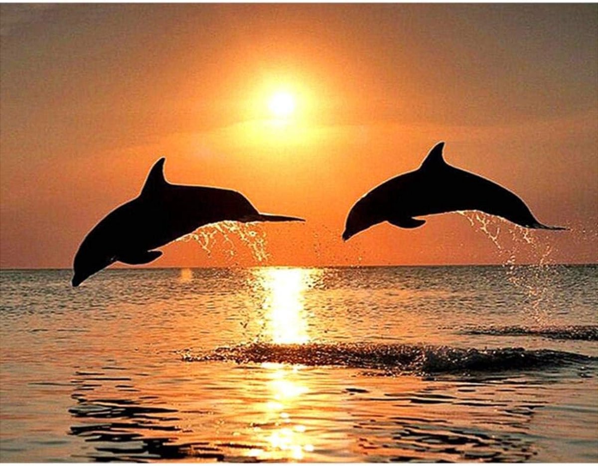 5D DIY Diamond schilderij Dolphin borduurwerk volledige vierkante Diamond Cross Stitch zonsondergang Water Dolphin Rhinestone schilderij Holiday Gift frameloze 40x30cm