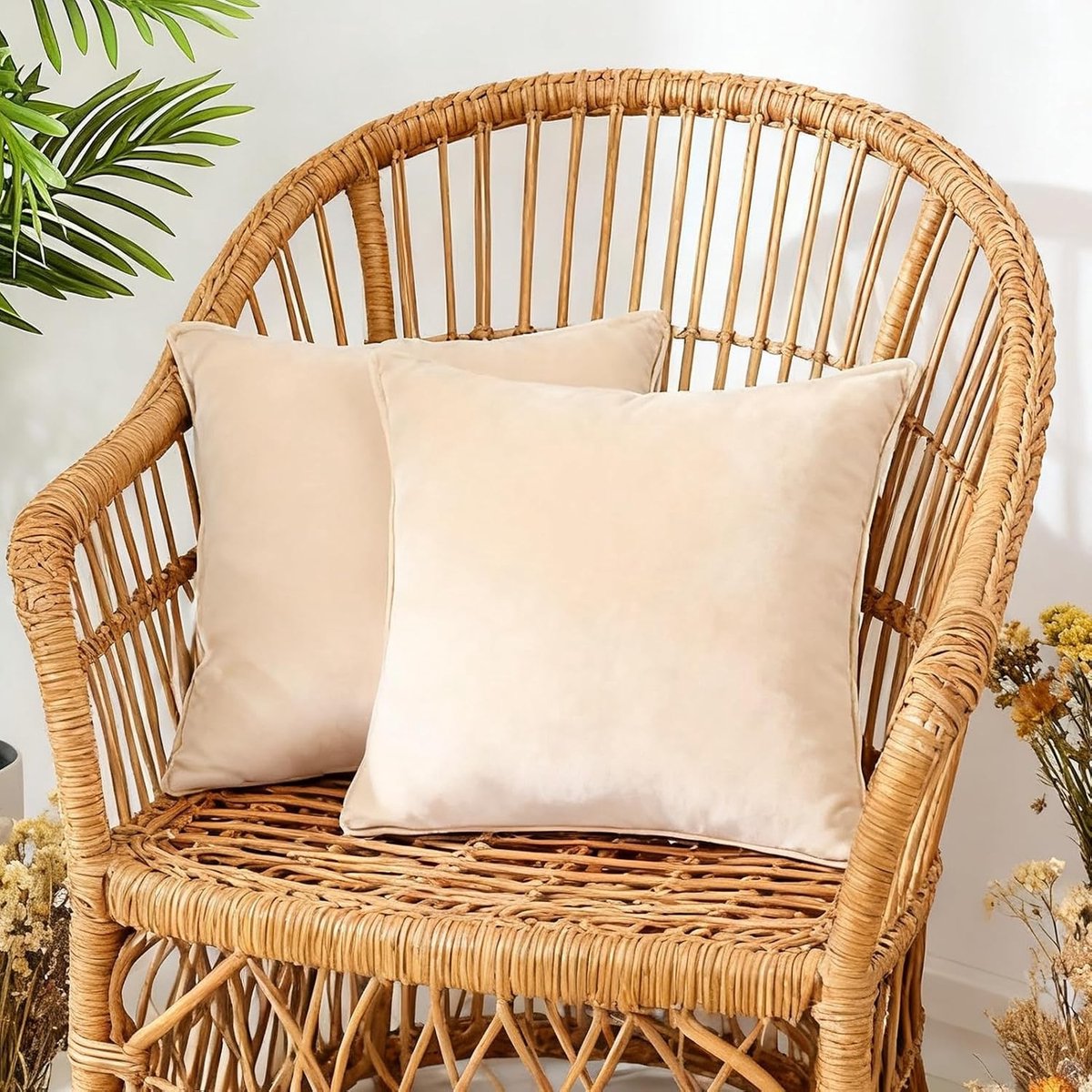 Set van 2 Velours Kussenhoezen, Decoratieve Kussenhoezen met Verborgen Rits, Wasbare Vierkante Kussenhoezen voor Woonkamer en Slaapkamer, Crème 50 x 50 cm, Luxe en Comfortabel