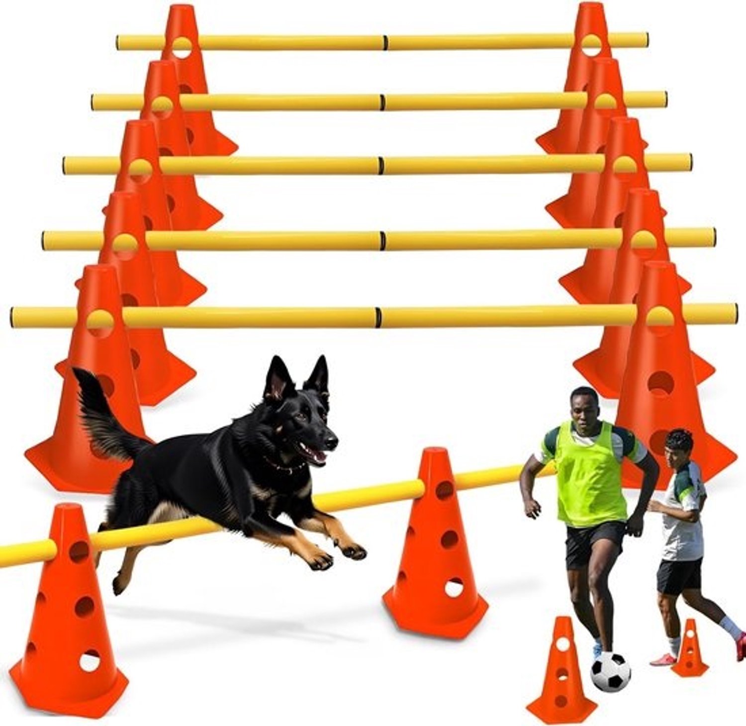 Sporthordenset - Behendigheidstraining - Voor honden- en paardentraining - Flexibel op te bouwen - 6 sets - Meerkleurig