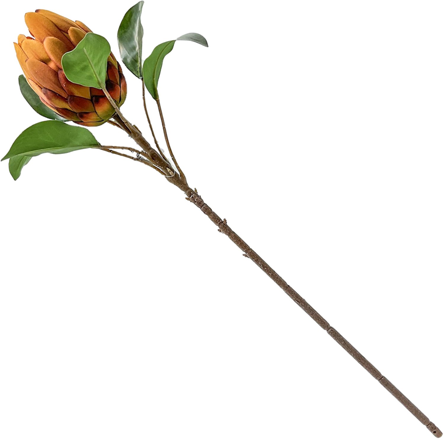homebound by ky Kunstbloem Protea royal oranje | 66cm | kunstbloem