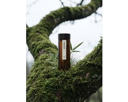 Scentech Dewy Green Geurolie - 65ml - Essentiele olie - Geur Olie voor Aroma Diffuser