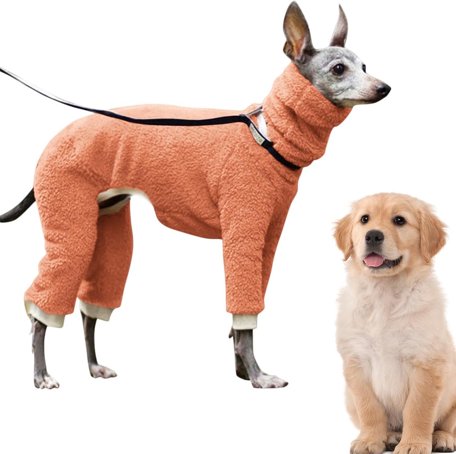 Coltrui Onesie Winddicht Elastische Verdikte 4 Been Volledige Cover